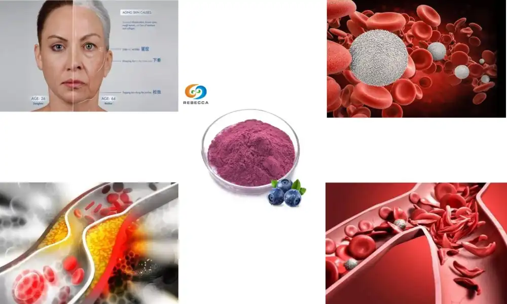 Can cranberry extract help improve heart health?
